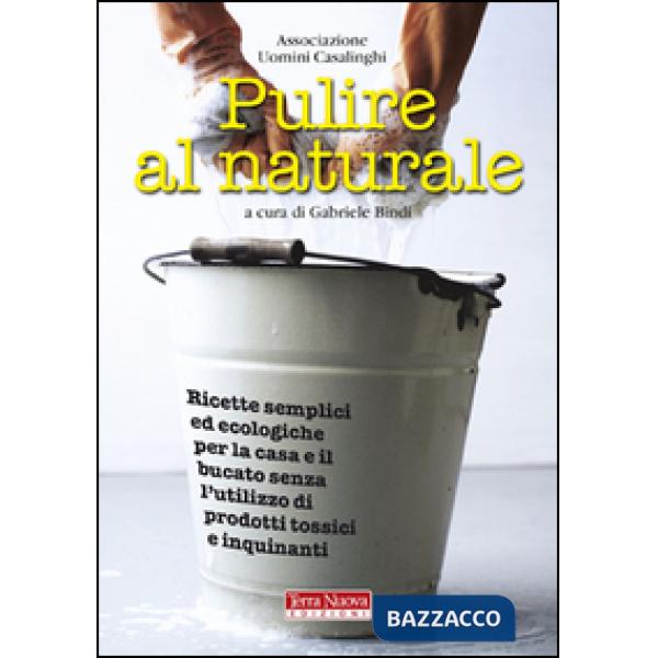 Pulire al naturale. Ricette semplici ed ecologiche per la casa e il bucato senza l'utilizzo di prodotti tossici e inquinanti