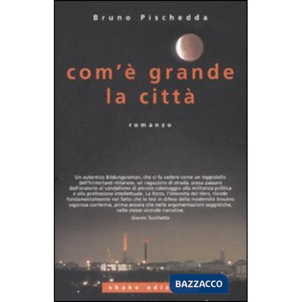 Com'è grande la città