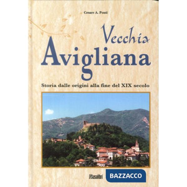 Vecchia Avigliana. Storia dalle origini alla fine del XIX secolo