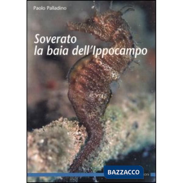 Soverato e la Baia dell'Ippocampo