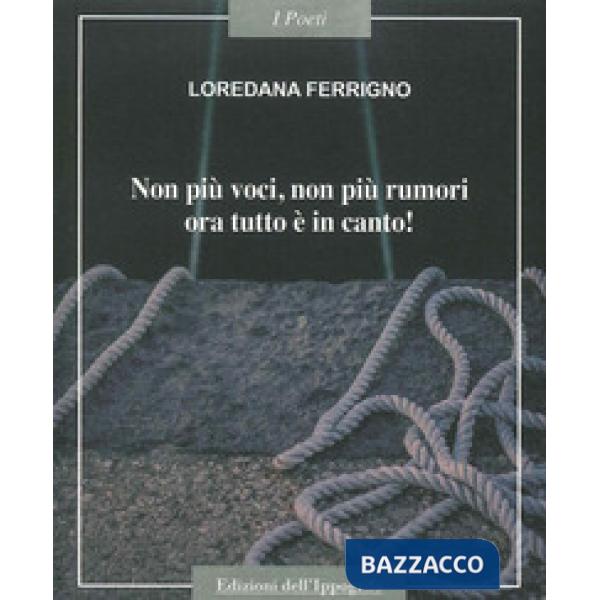Non più voci non più rumori, ora tutto è in canto!
