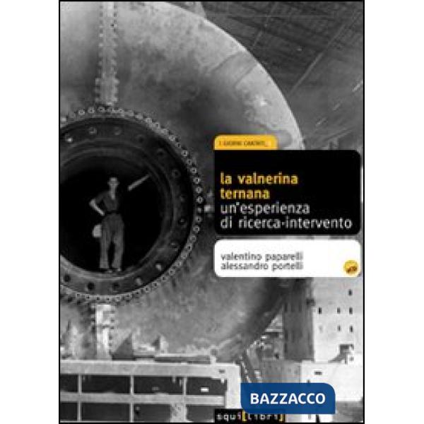 Valnerina ternana. Un'esperienza di ricerca-intervento. Con 2 CD Audio (La)