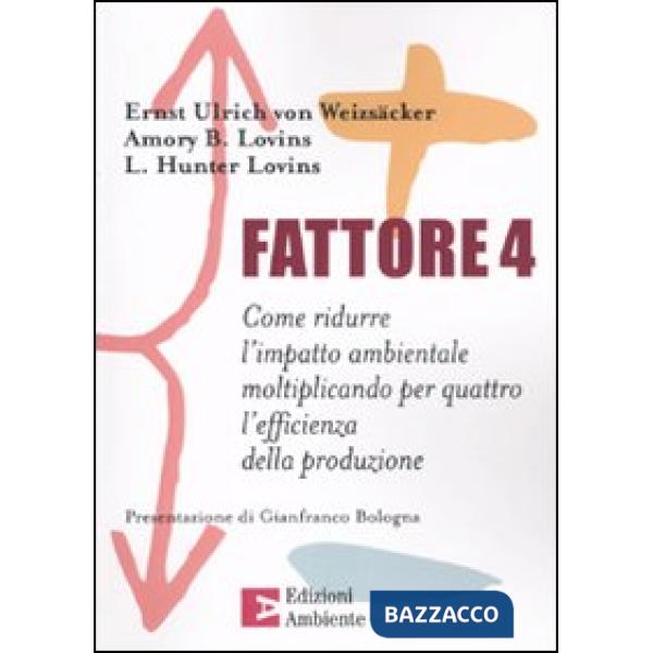Fattore 4. Come ridurre l'impatto ambientale moltiplicando per quattro l'efficienza della produzione