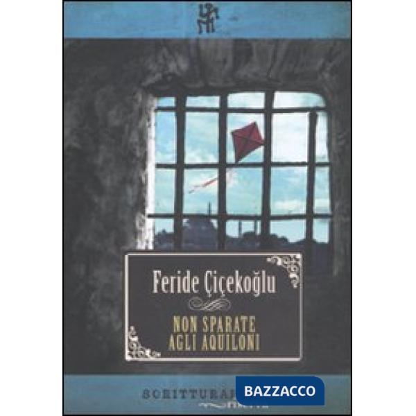 Non sparate agli aquiloni