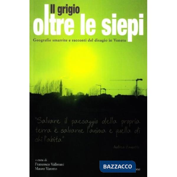 Grigio oltre le siepi. Geografie smarrite e racconti del disagio in Veneto (Il)