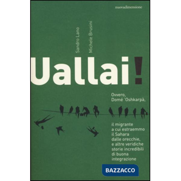 Uallai! Ovvero, Domè 'Oshkarpà, il migrante a cui estraemmo il Sahara dalle orecchie, e altre veridiche storie incredibili di bu
