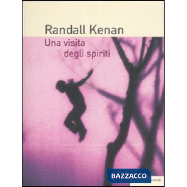 Visita degli spiriti (Una)