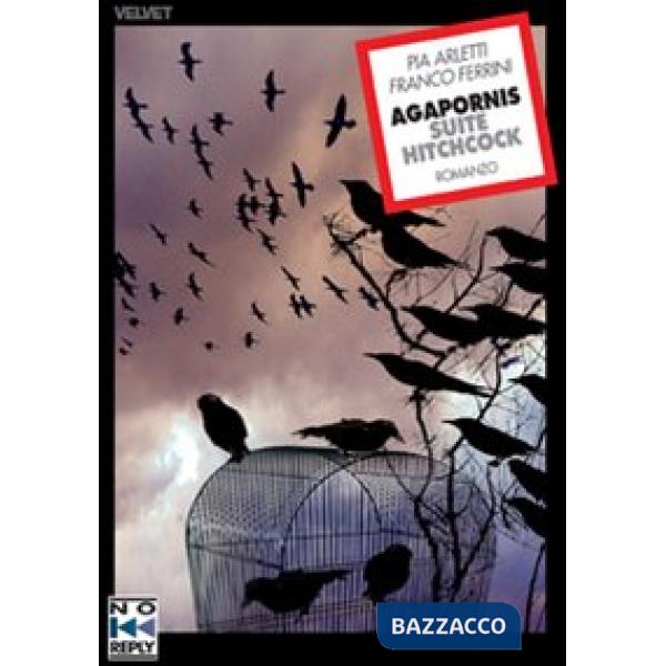 Agapornis suite Hitchcock