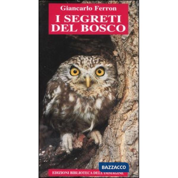 Segreti del bosco (I)
