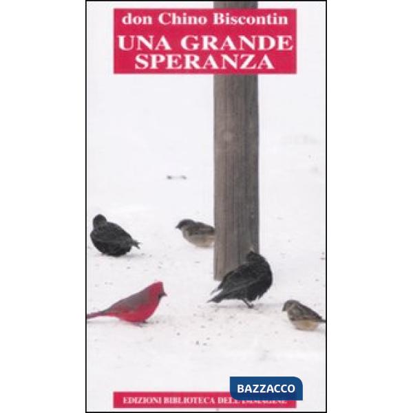 Grande speranza (Una)