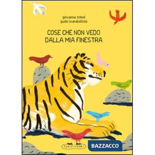 Cose che non vedo dalla mia finestra. Ediz. illustrata