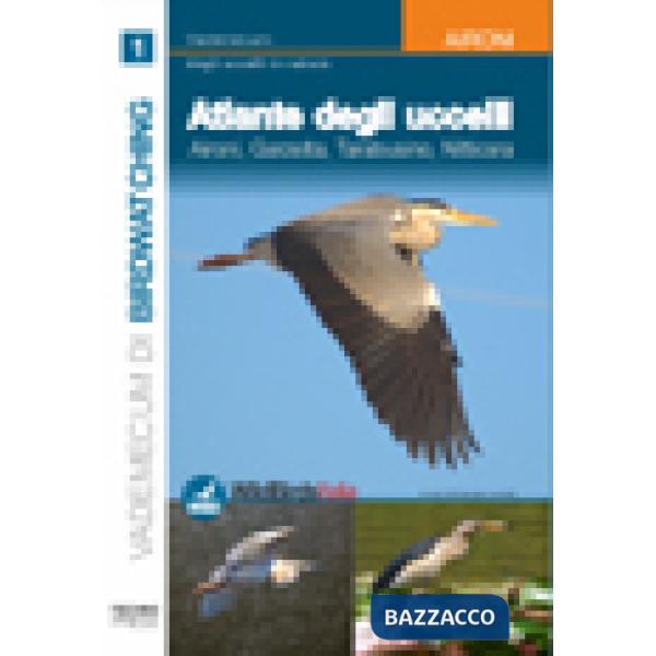 Atlante degli uccelli. Ediz. illustrata. Vol. 1: Aironi, garzetta, tarabusino, nitticora