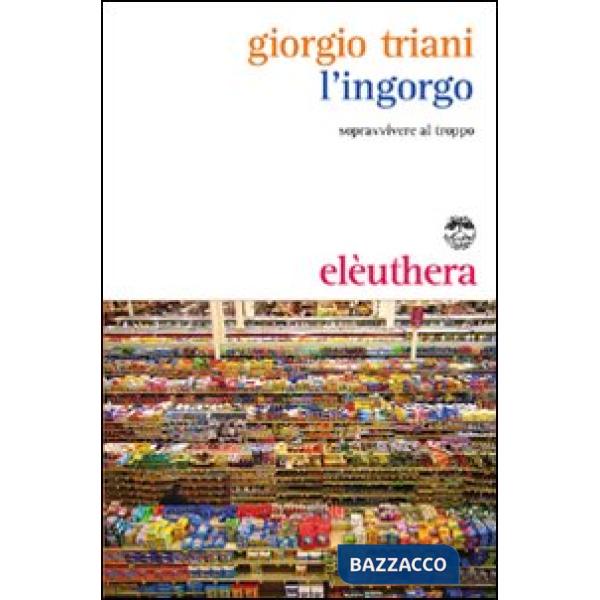 Ingorgo. Sopravvivere al troppo (L')