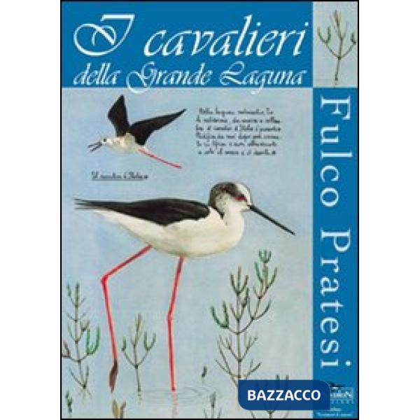 Cavalieri della grande laguna (I)
