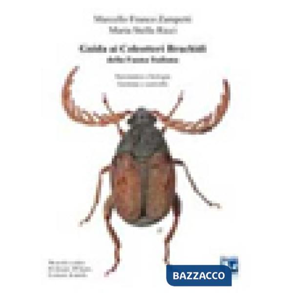 Guida ai coleotteri bruchidi della fauna italiana. Sistematica e biologia, gestione e controllo