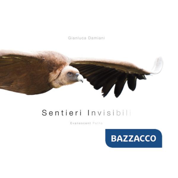 Sentieri invisibili-Evanescent paths. Ediz. illustrata