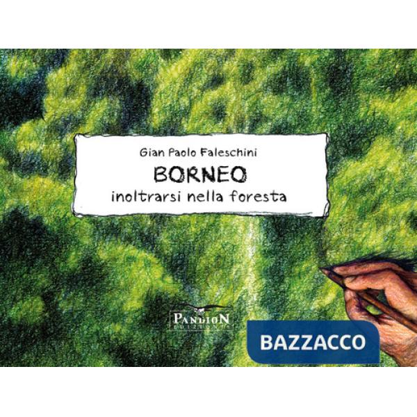 Borneo. Inoltrarsi nella foresta. Ediz. illustrata