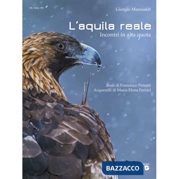 Aquila reale. Incontri in alta quota