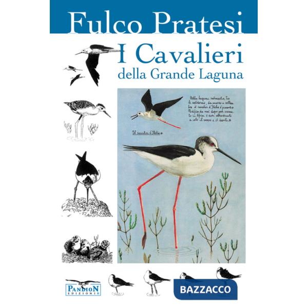 Cavalieri della grande laguna (I)