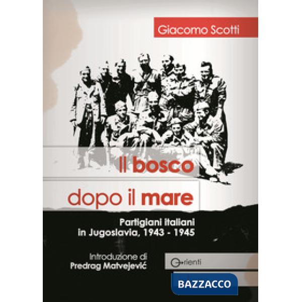 Bosco dopo il mare. Partigiani italiani in Jugoslavia, 1943-1945 (Il)
