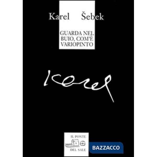 Guarda nel buio, com'è variopinto (testi dagli anni 1965-1995)