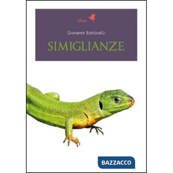 Simiglianze