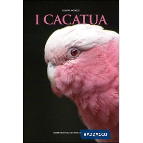 Cacatua (I)