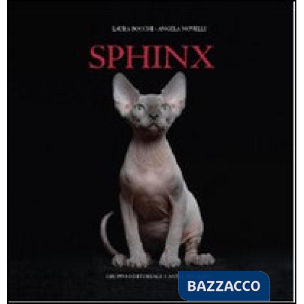 Sphynx