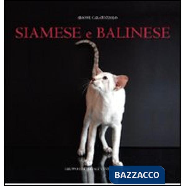 Siamese e balinese. Ediz. illustrata