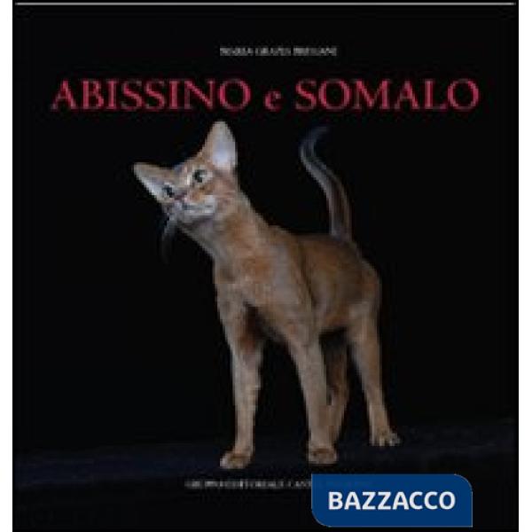 Abissino e somalo