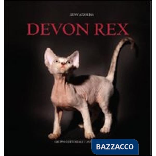Devon Rex