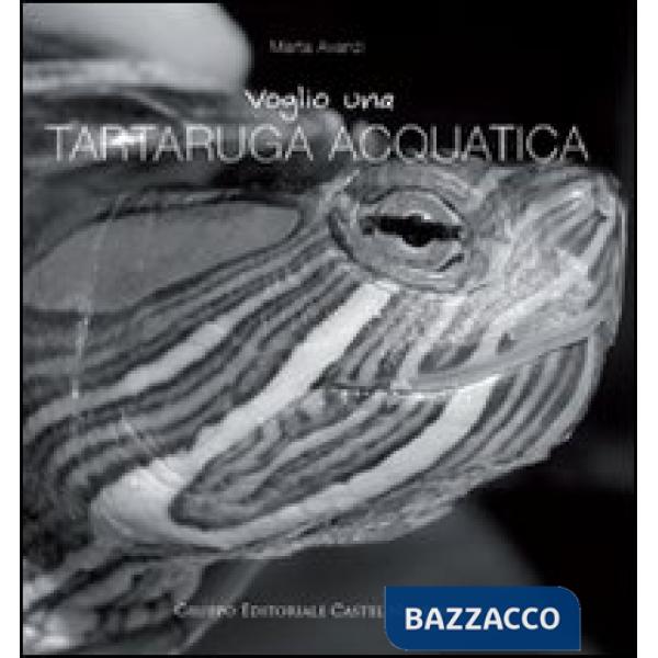 Voglio una tartaruga acquatica