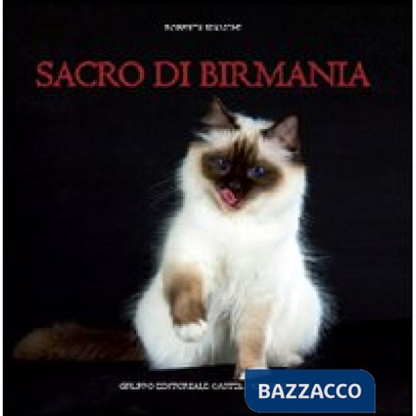 Sacro di Birmania