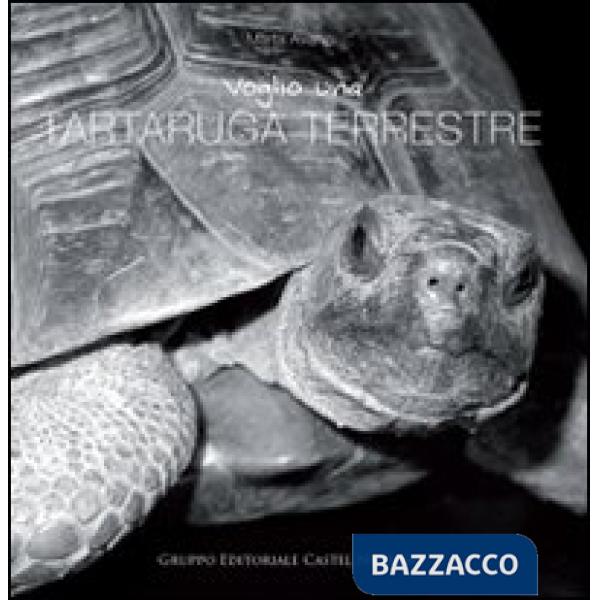 Voglio una tartaruga terrestre