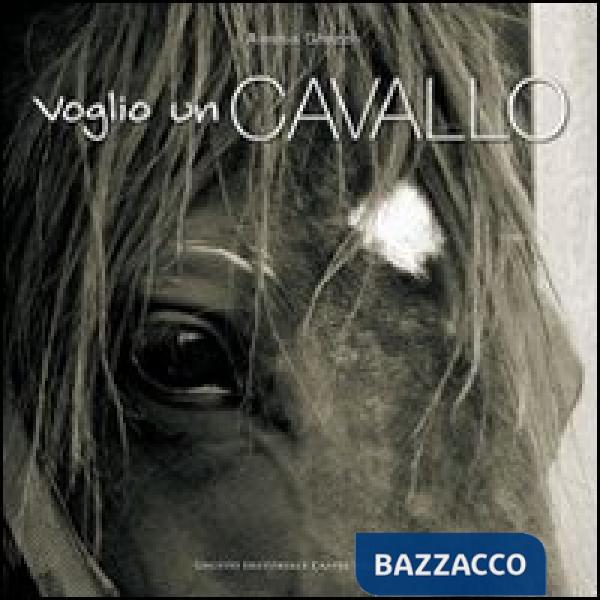 Voglio un cavallo