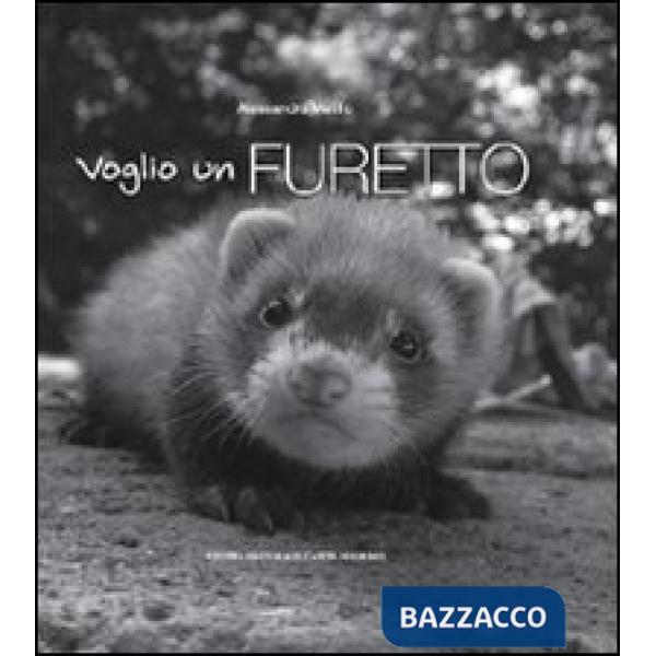 Voglio un furetto. Ediz. illustrata
