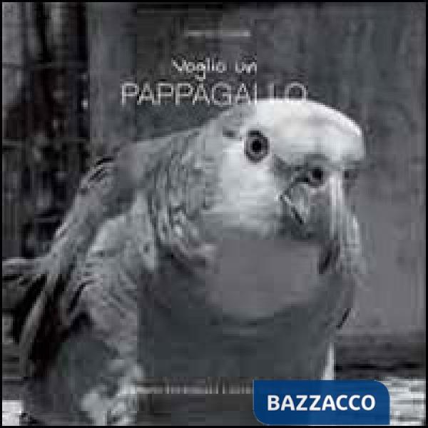 Voglio un pappagallo