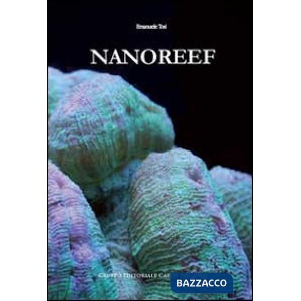 Nanoreef