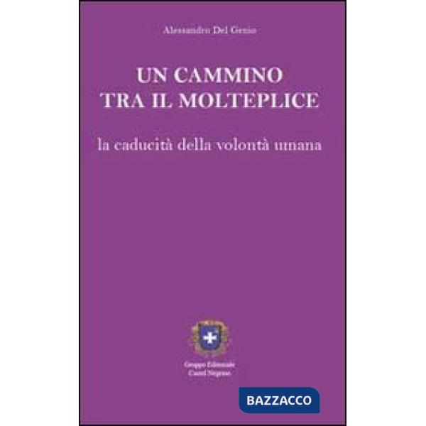 Cammino tra il molteplice. La caducità della volontà umana (Un)