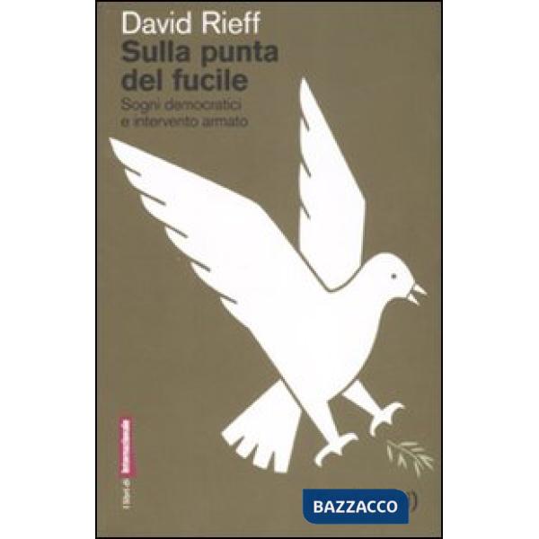 Sulla punta del fucile. Sogni democratici e intervento armato