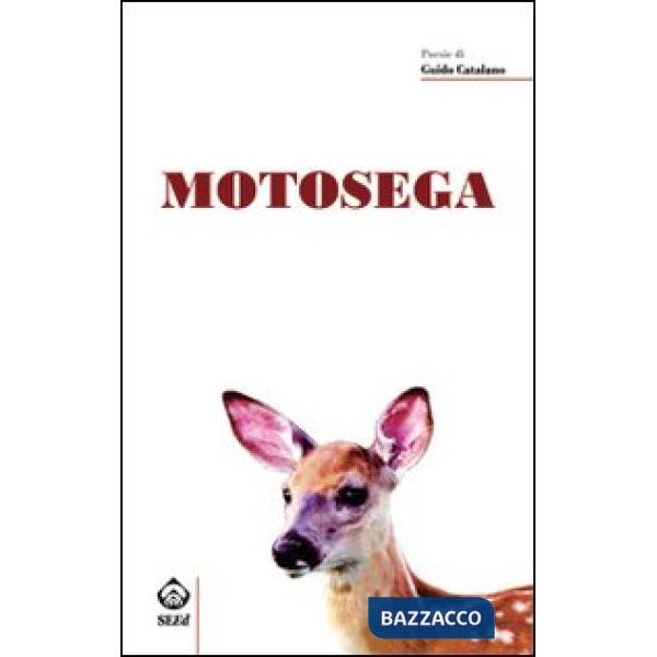 Motosega