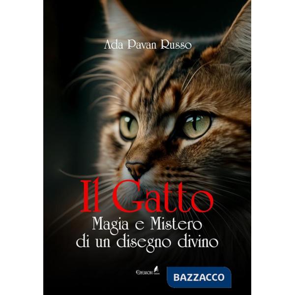 Gatto. Magia e mistero di un disegno divino (Il)