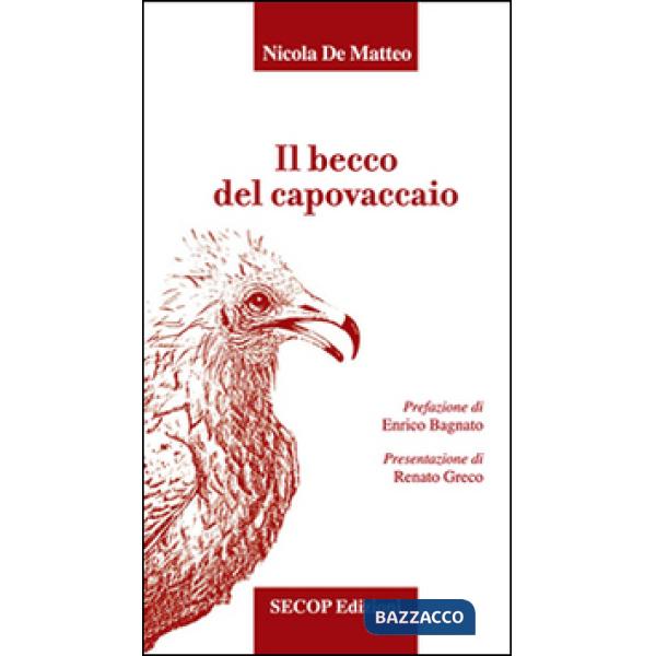 Becco del capovaccaio (Il)
