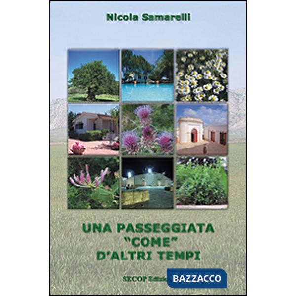 Passeggiata «come» d'altri tempi (Una)