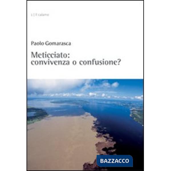 Meticciato: convivenza o confusione?