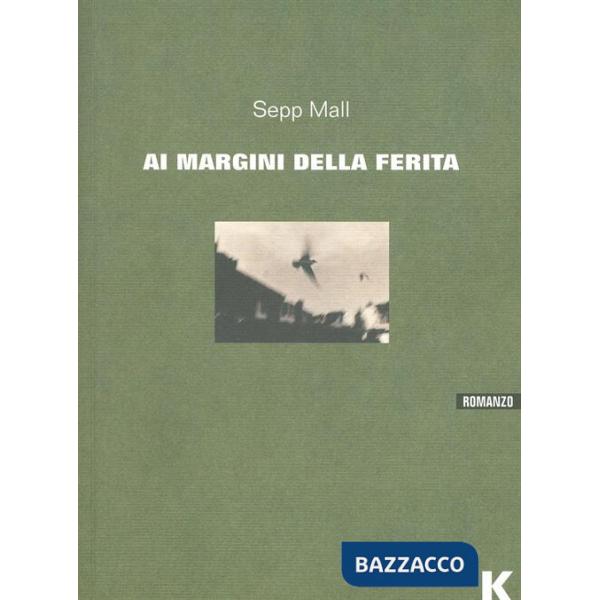 Margini della ferita (I)