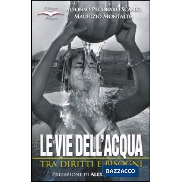 Vie dell'acqua. Tra diritti e bisogni (Le)