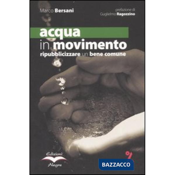 Acqua in movimento. Ripubblicizzare un bene comune