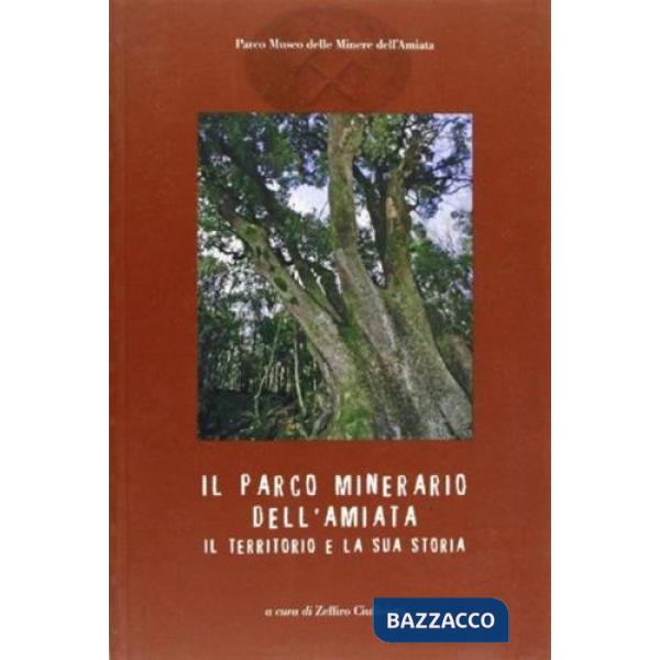 Parco minerario dell'Amiata. Il territorio e la sua storia (Il)