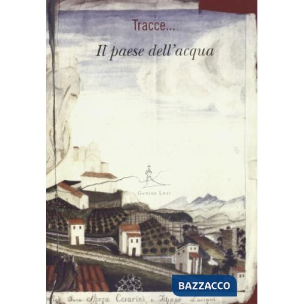Paese dell'acqua. Percorsi storici culturali e ambientali per la ex contea di Santa Fiora (Il)